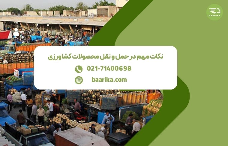 اهمیت بسته بندی و حمل و نقل در ارسال محصولات کشاورزی